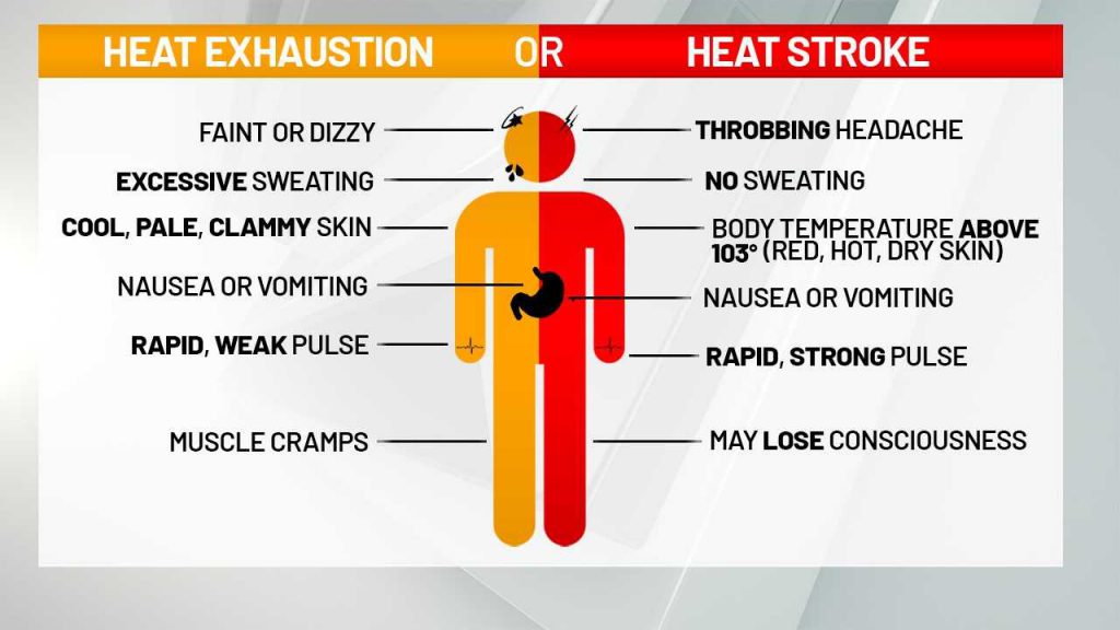 Symptoms Of Heat Stroke And Exhaustion