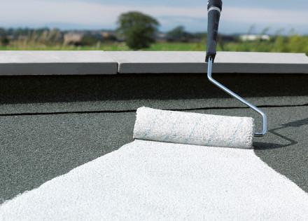 Can You Paint Roofing Felt